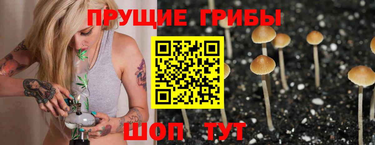 Галлюциногенные грибы Psilocybe  Вход с VPN  Галлюциногенные грибы Magic Shrooms  Ирбит 